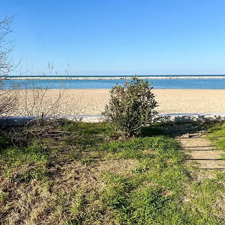 Comfort Near The Sea Lägenhet *